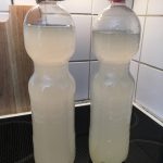 Und nochmal in ganzer Flasche: Rechts der erste Durchgang mit frischen Ingwerstücken, links der zweite mit gekochtem Ingwersirup