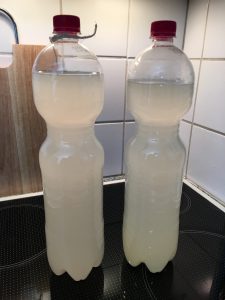 Und nochmal in ganzer Flasche: Rechts der erste Durchgang mit frischen Ingwerstücken, links der zweite mit gekochtem Ingwersirup