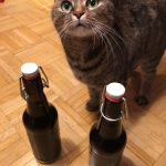 Catcontent und zwei fertig gereifte Flaschen Bier