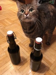 Catcontent und zwei fertig gereifte Flaschen Bier